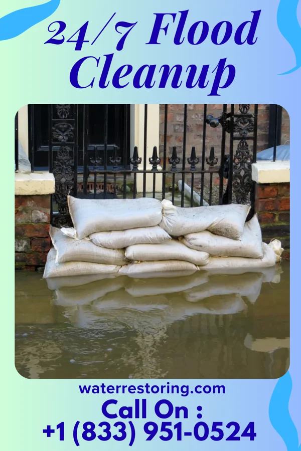 24/7 Flood Cleanup in Lake Telemark, NJ