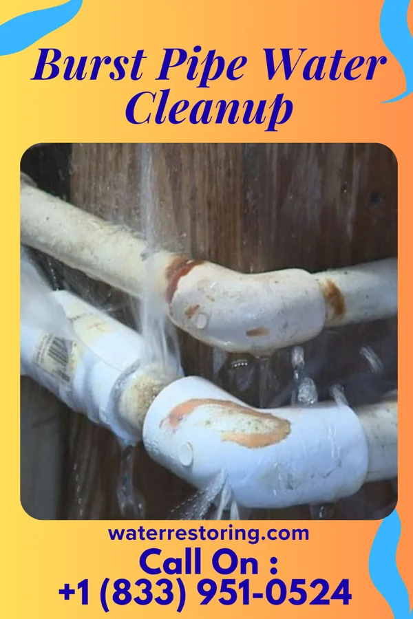 Burst Pipe Water Cleanup in Lake Telemark, NJ