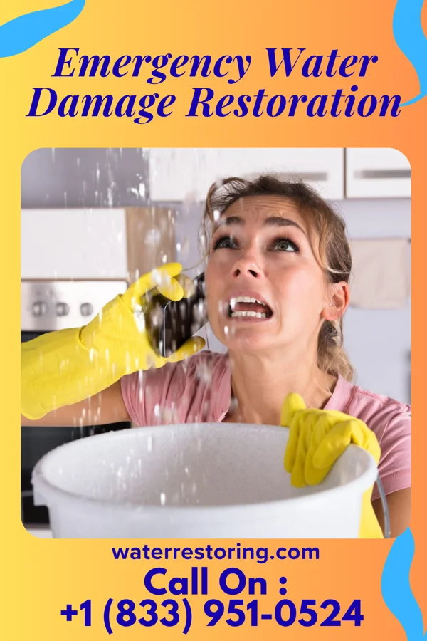 Emergency Water Damage Restoration in Lake Telemark, NJ