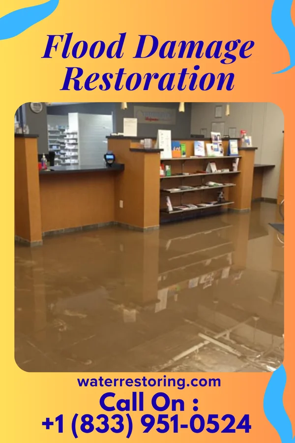 Flood Damage Restoration in Lake Telemark, NJ