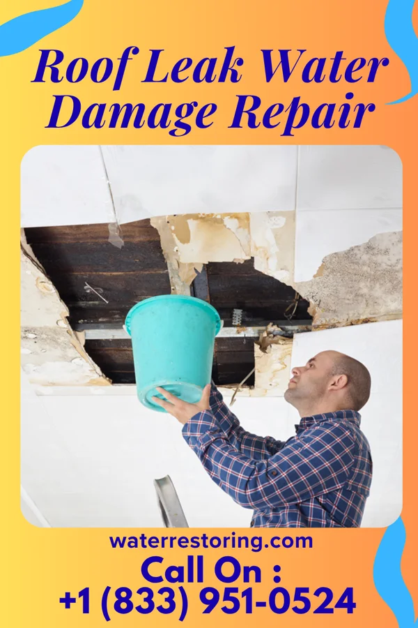 Roof Leak Water Damage Repair in Lake Telemark, NJ