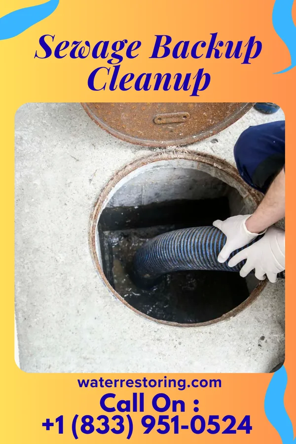 Sewage Backup Cleanup in Lake Telemark, NJ