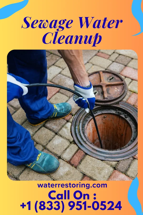 Sewage Water Cleanup in Lake Telemark, NJ