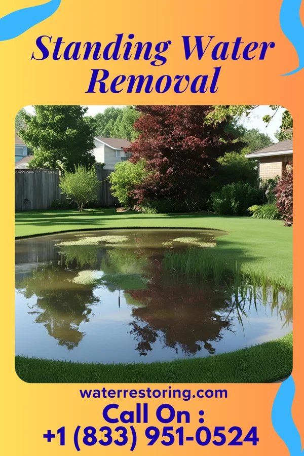 Standing Water Removal in Lake Telemark, NJ